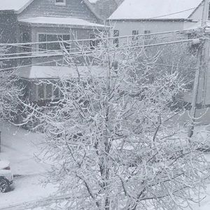 Meet your Posher, Leiriana